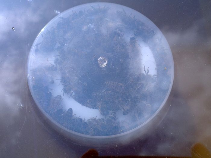 Blick in den Aufstiegsdom des Futtertrogs