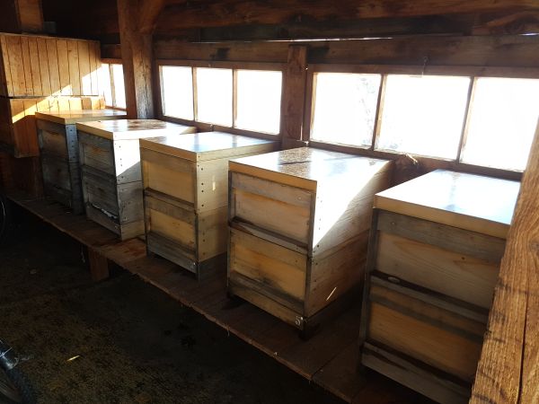 Bueten am neunen Platz